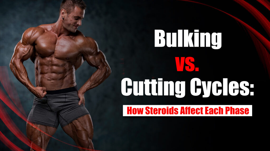 Bulking vs. Cutting Cycles: How Steroids Affect Each Phase