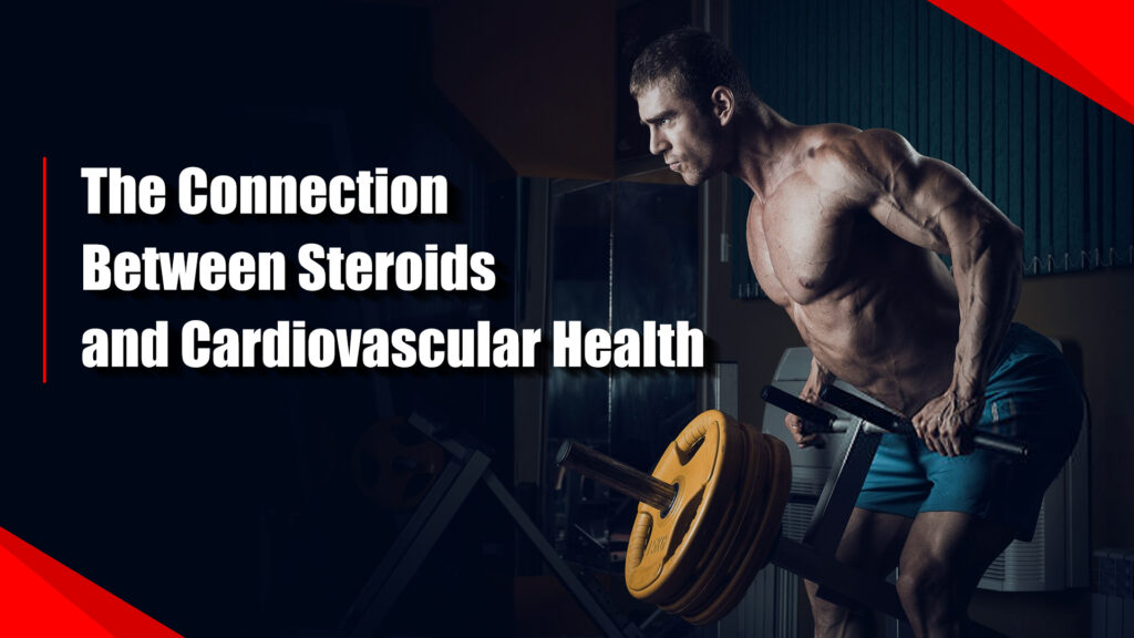 The Connection Between Steroids and Cardiovascular Health