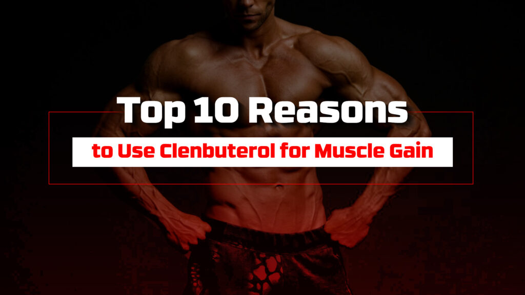 Top 10 Reasons to Use Clenbuterol for Muscle Gain