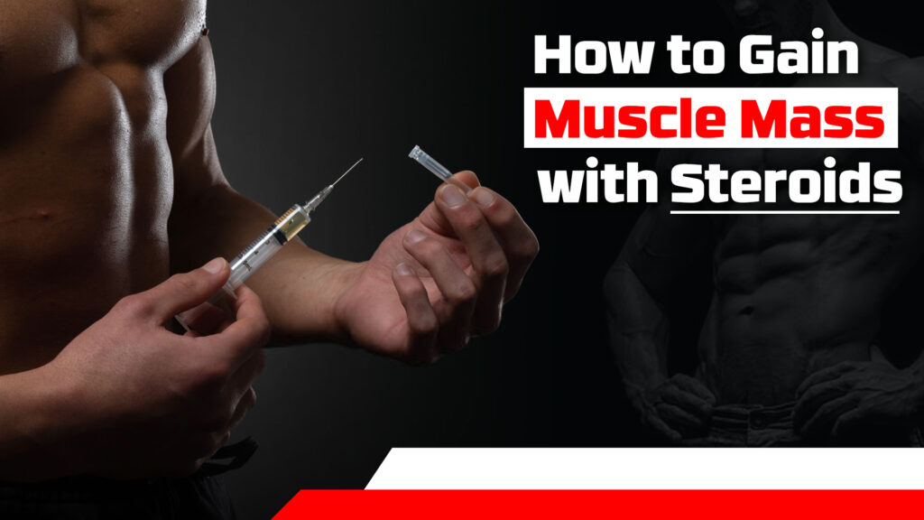 How to Gain Muscle Mass with Steroids