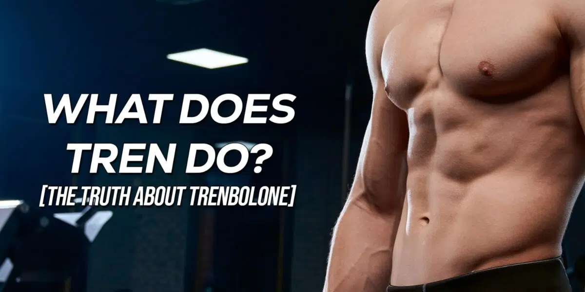 Trenbolone For Sale: What does Tren do?