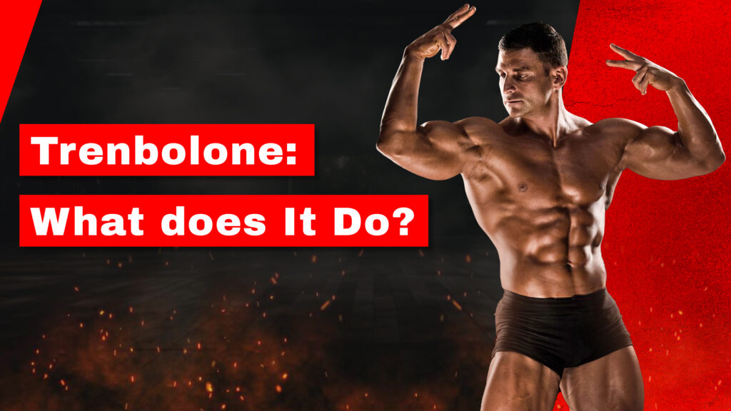 Trenbolone: What does It Do?