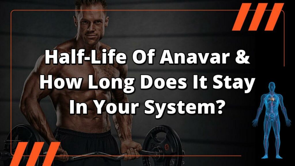 Half-Life Of Anavar & How Long Does It Stay In Your System?