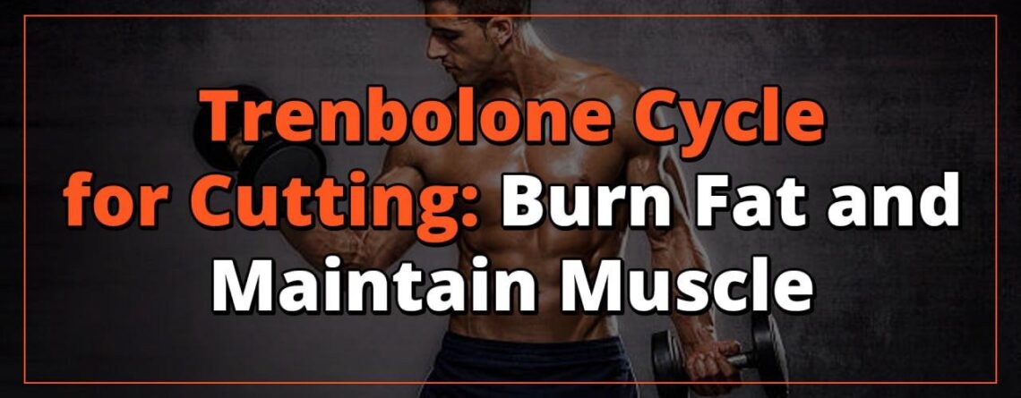 Trenbolone Cycle for Cutting: Burn Fat and Maintain Muscle