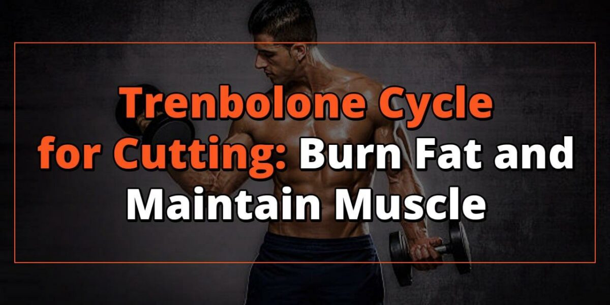 Trenbolone Cycle for Cutting: Burn Fat and Maintain Muscle