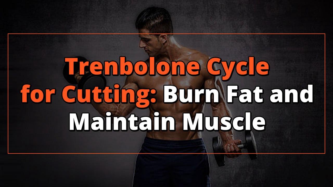Trenbolone Cycle for Cutting Burn Fat and Maintain Muscle Finest Gears