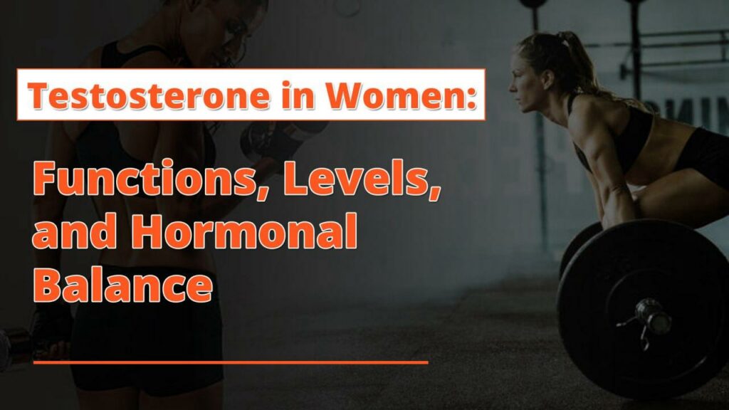 Testosterone in Women: Functions, Levels, and Hormonal Balance