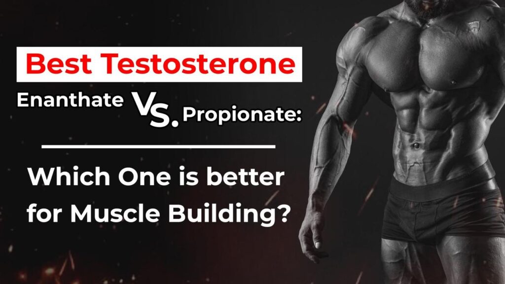 Testosterone For Sale: Best Testosterone Enanthate vs. Propionate: Which One is better for Muscle Building?