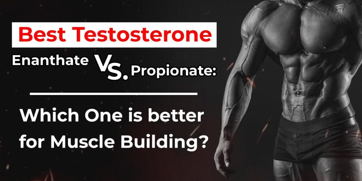 Testosterone For Sale: Best Testosterone Enanthate vs. Propionate: Which One is better for Muscle Building?