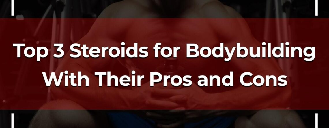 Top 3 Steroids for Bodybuilding With Their Pros and Cons