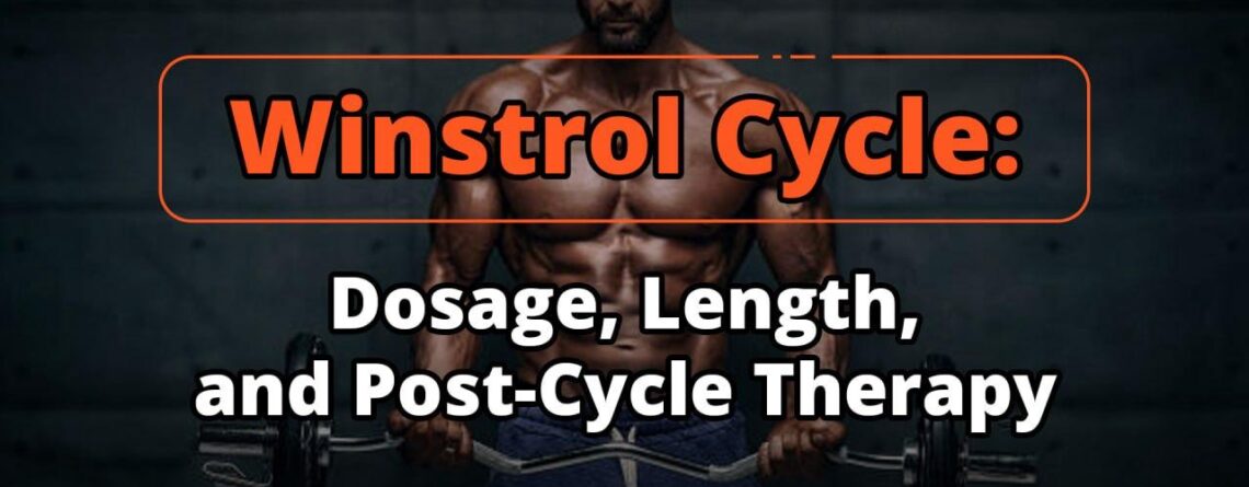 Winstrol Cycle: Dosage, Length, and Post-Cycle Therapy
