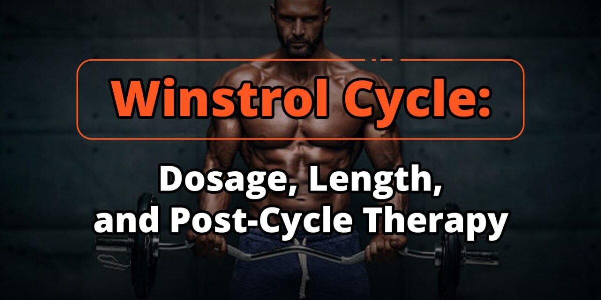 Winstrol Cycle: Dosage, Length, and Post-Cycle Therapy