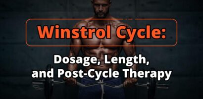 Winstrol Cycle: Dosage, Length, and Post-Cycle Therapy