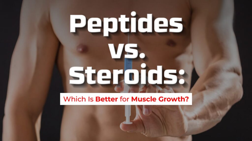 Peptides vs. Steroids : Which Is Better for Muscle Growth?