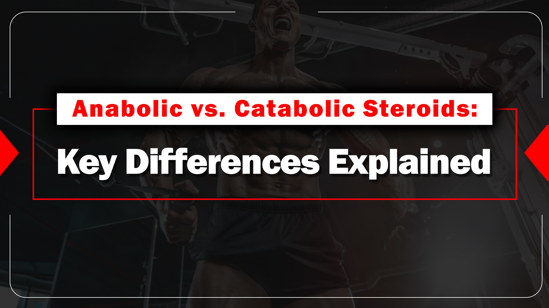Anabolic vs. Catabolic Steroids