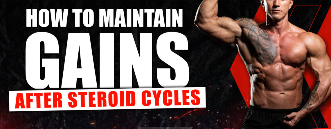 How to Maintain Gains After Steroid Cycles