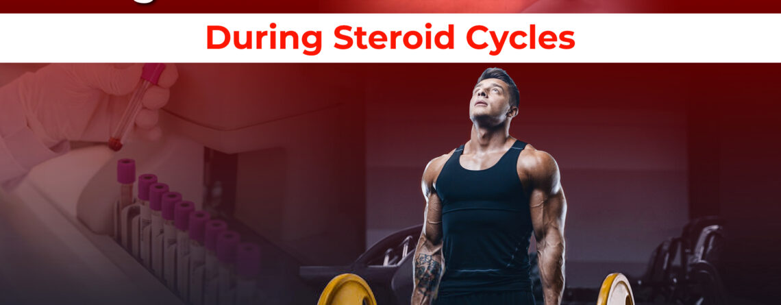 Blood tests during steroid cycles