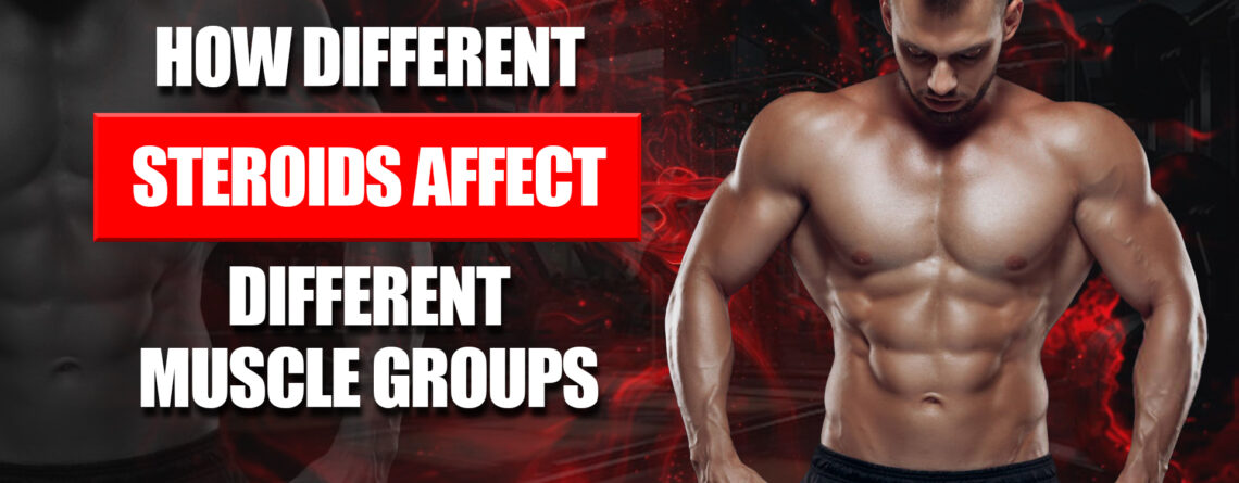 How different steroids affect muscle groups