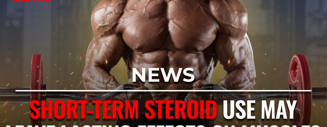 muscle memory steroids