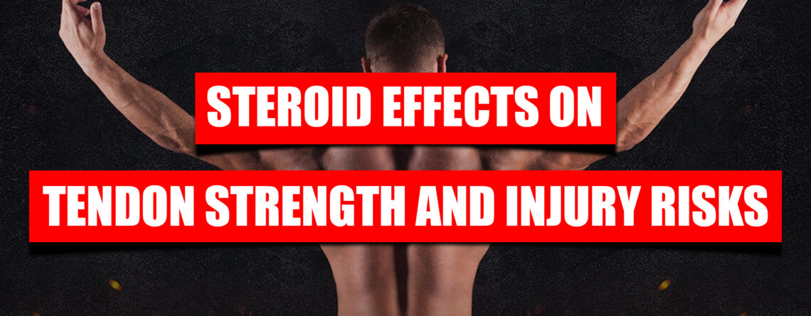 steroid effects on tendon strength