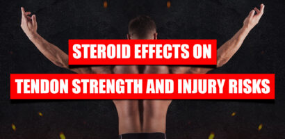 steroid effects on tendon strength