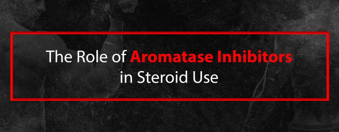 Aromatase Inhibitors Steroid Use