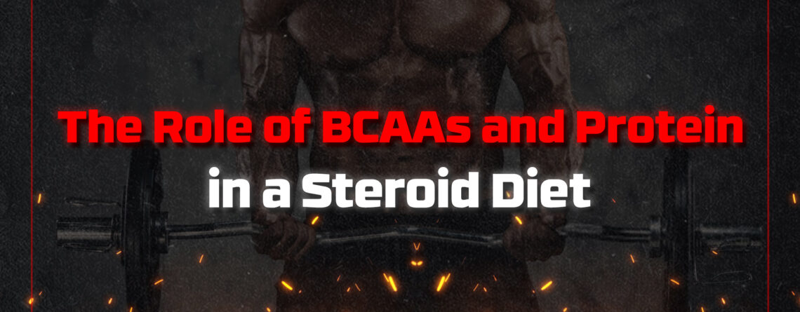 BCAAs and protein in a steroid diet