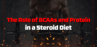 BCAAs and protein in a steroid diet