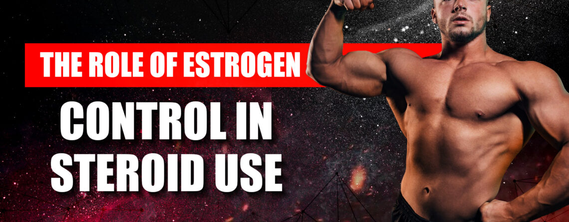 Estrogen Control in Steroid Use