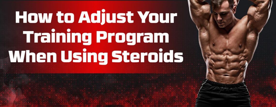 Training Program on Steroids
