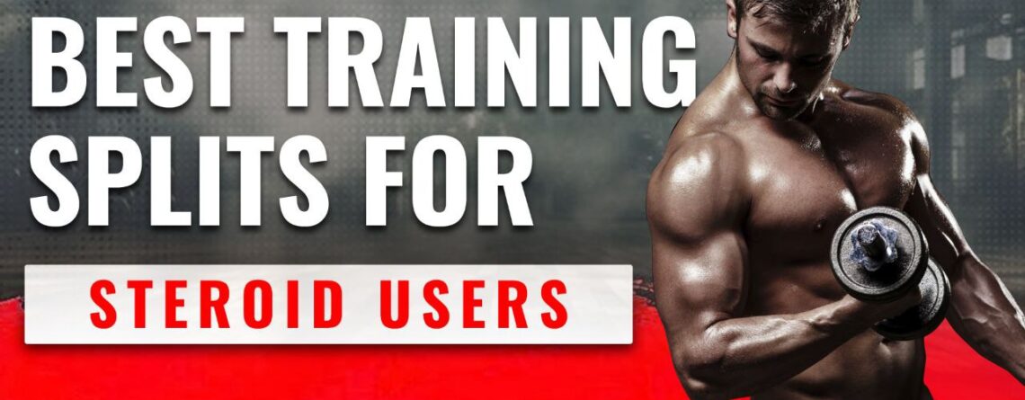 Best Training Splits for Steroid Users