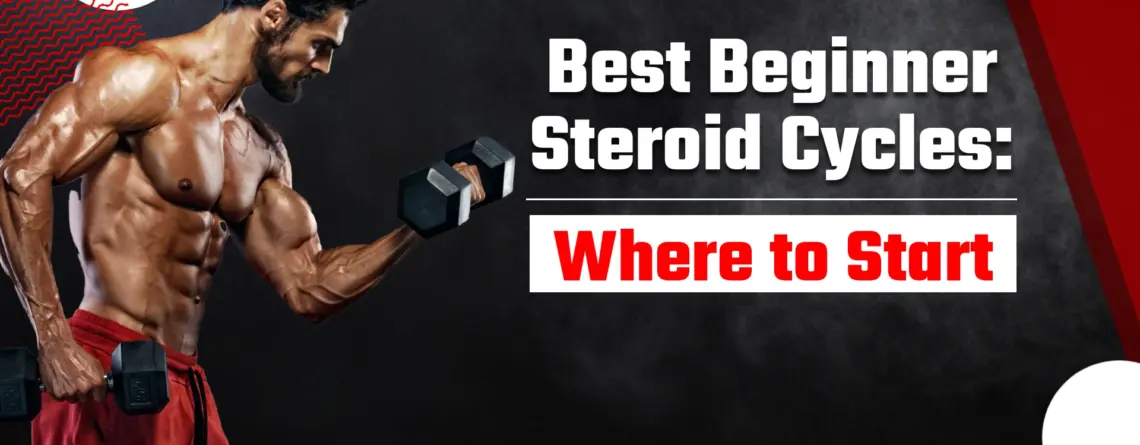 Best Beginner Steroid Cycle