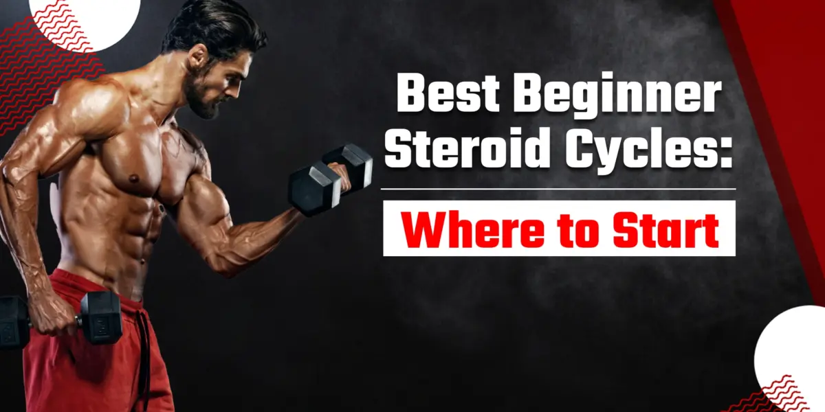 Best Beginner Steroid Cycle
