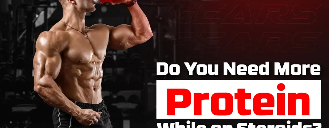 protein intake while on steroids