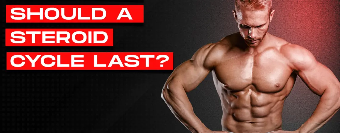 how long should a steroid cycle last