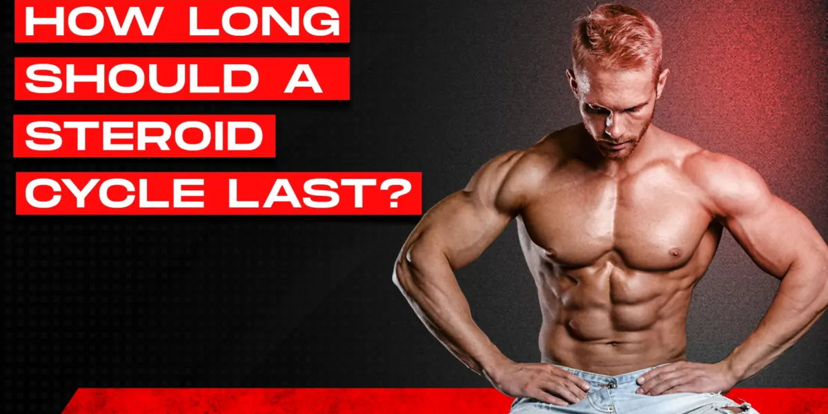 how long should a steroid cycle last