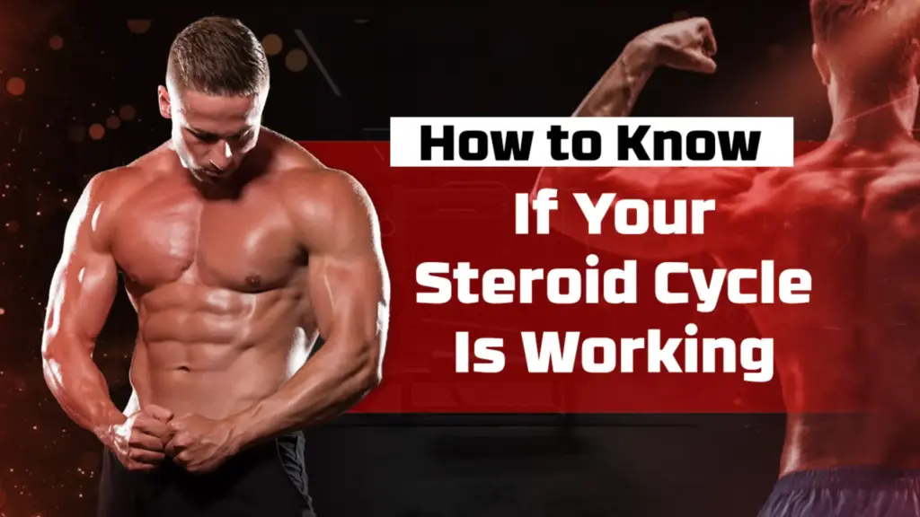 How to know if your steroid cycle is working