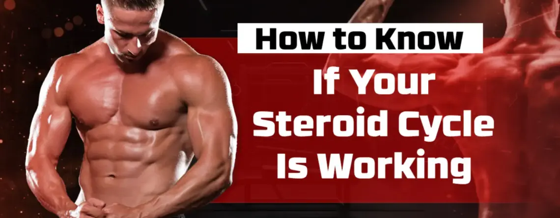 How to know if your steroid cycle is working