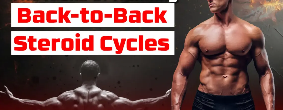 Back-to-back steroid cycles
