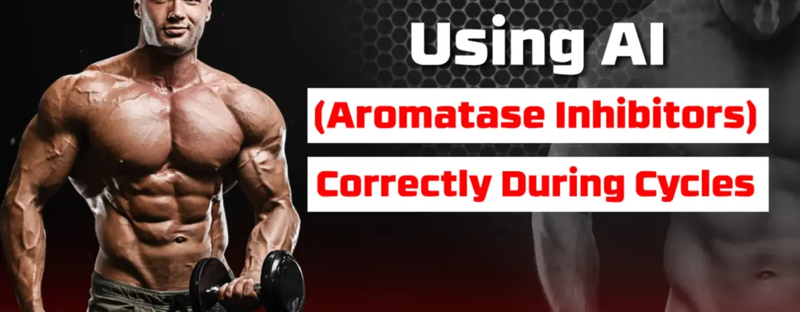 Aromatase Inhibitors during steroid cycles