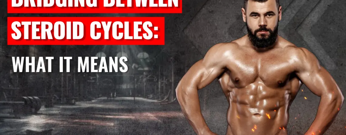 Bridging between steroid cycles