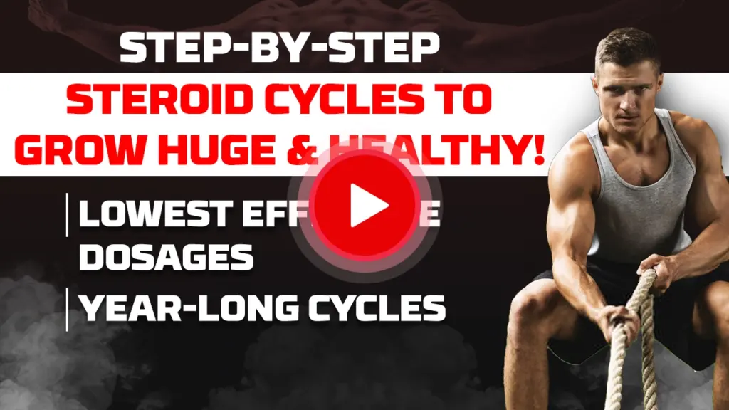 VigorousSteve explaining safe steroid cycle plans for healthy muscle growth