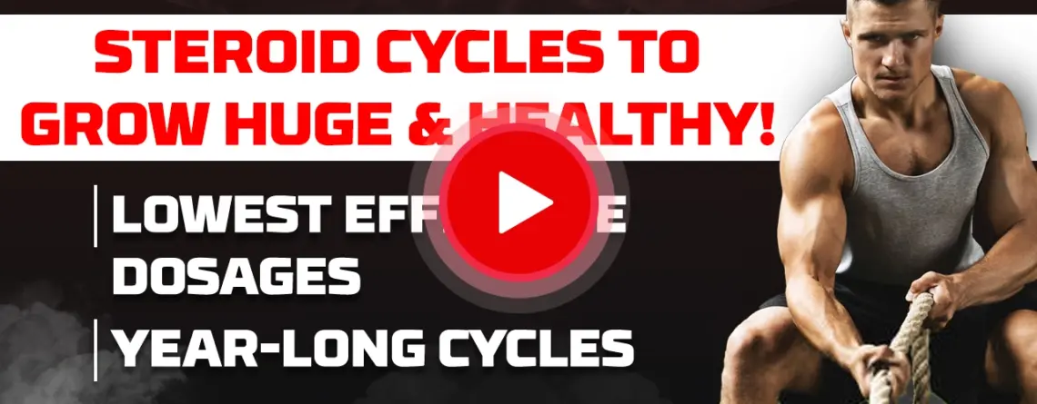 VigorousSteve explaining safe steroid cycle plans for healthy muscle growth