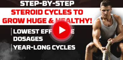 VigorousSteve explaining safe steroid cycle plans for healthy muscle growth