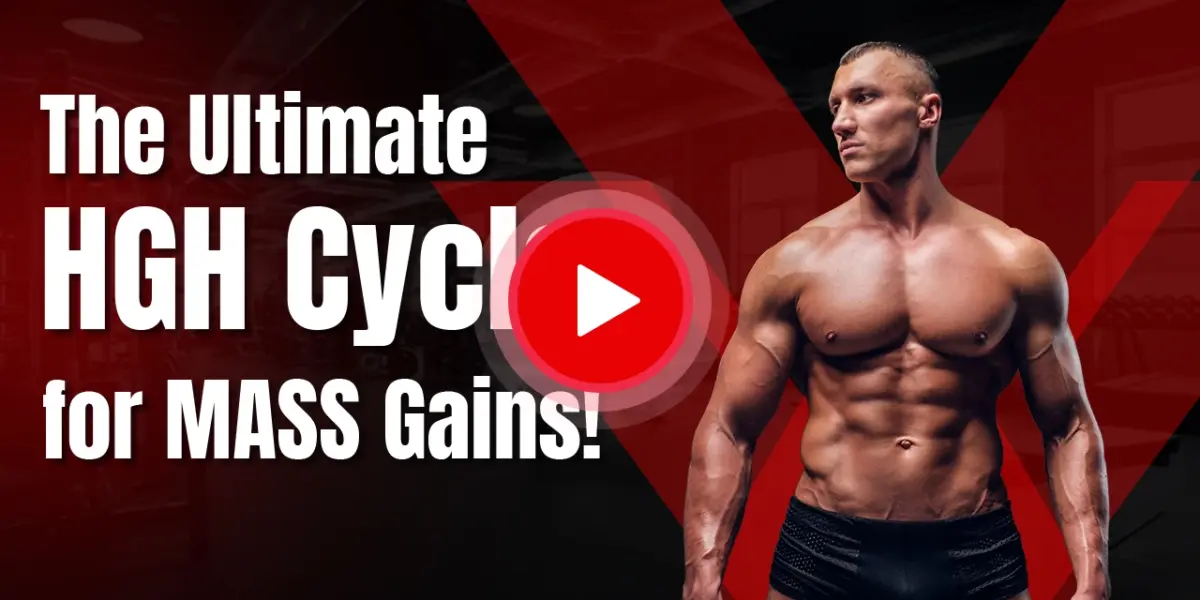Dave Palumbo explaining the ultimate HGH cycle for muscle mass gains