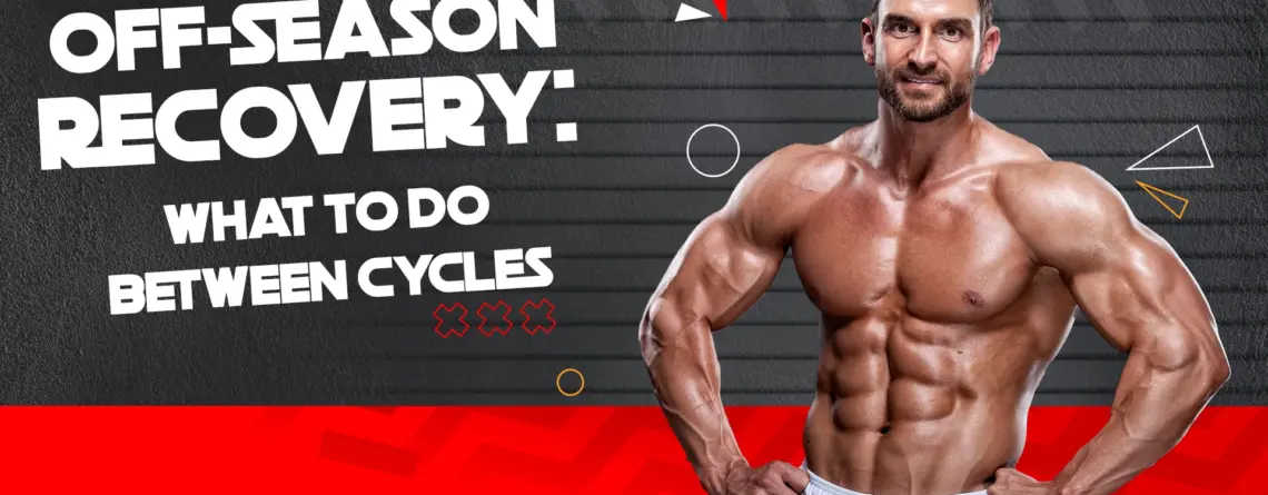 Athlete focusing on off-season recovery to restore hormones and support organ health between steroid cycles