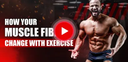 Illustration showing how exercise transforms different muscle fibers for strength and endurance performance