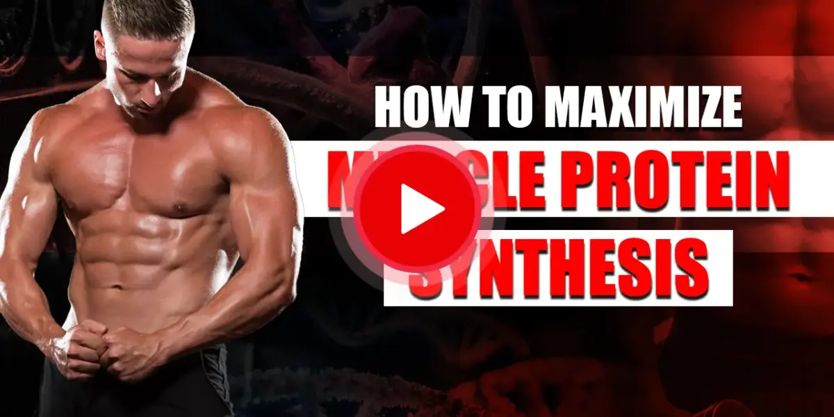 Thumbnail image showing tips to maximize muscle protein synthesis for better muscle growth and training results.