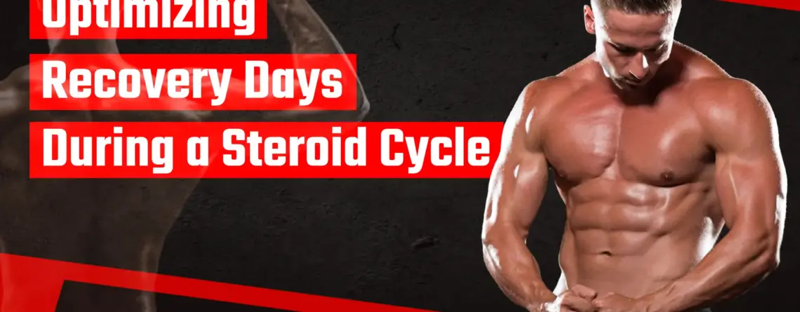Optimizing recovery days during a steroid cycle for strength, joint health, and long-term muscle gains