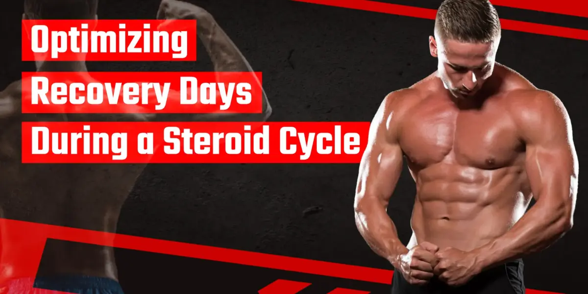 Optimizing recovery days during a steroid cycle for strength, joint health, and long-term muscle gains